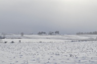 Treeless expanses of snow-covered corn-stubble punctuated by barns marks the Ottawa Country countryside